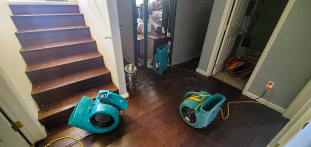 Best Emergency water damage restoration  in Greenland, AR