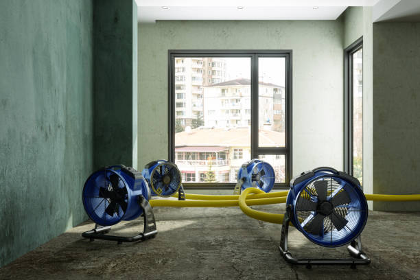 Best Water damage restoration near me  in Greenland, AR